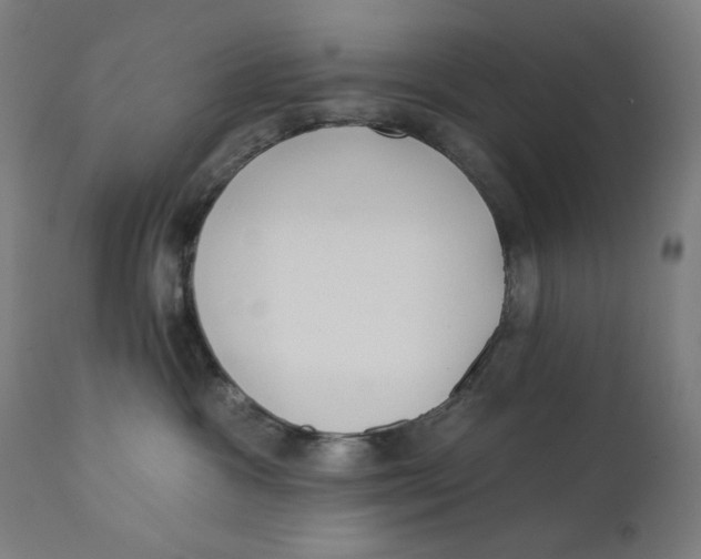 X0000112180333200909041236