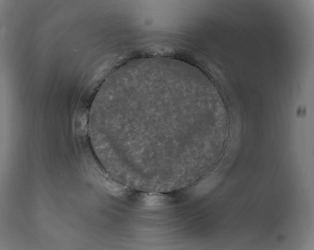 X0000112180336200909041236