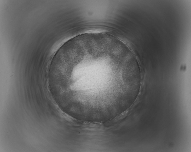 X0000112180337200909041235