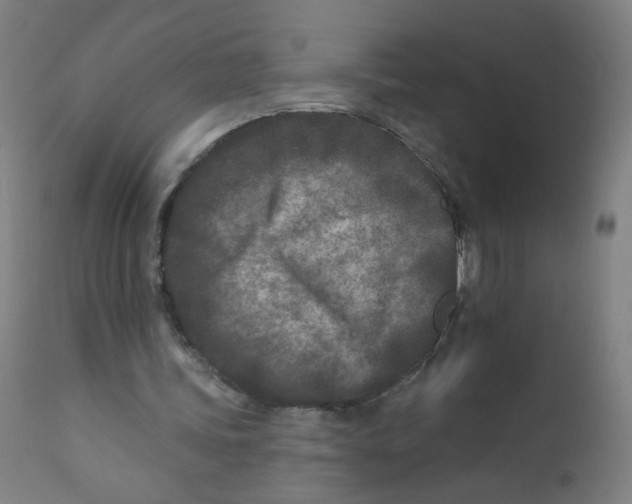 X0000112180339200909041235