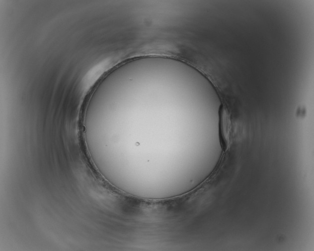 X0000112180340200909041235