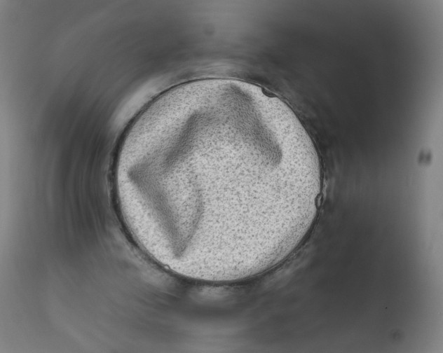 X0000112180341200909041235
