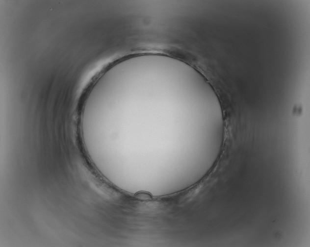 X0000112180342200909041235
