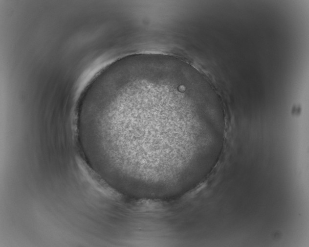 X0000112180343200909041235