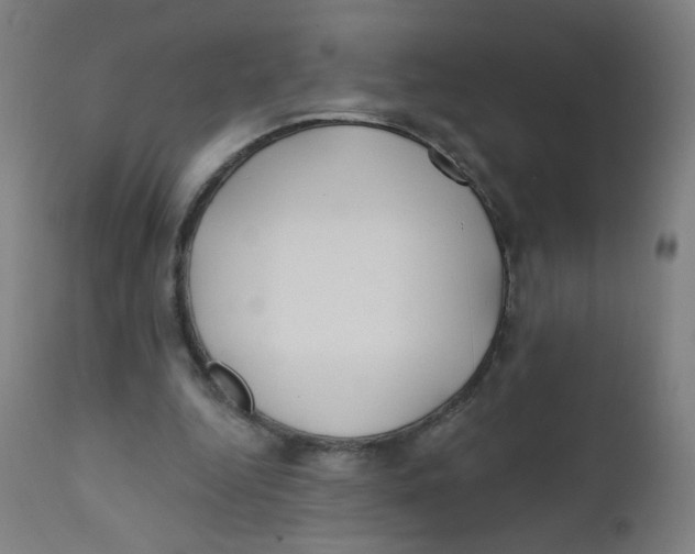 X0000112180344200909041235