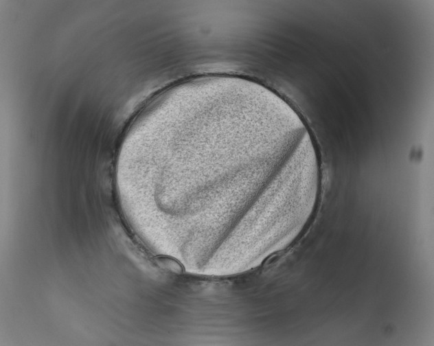 X0000112180345200909041235