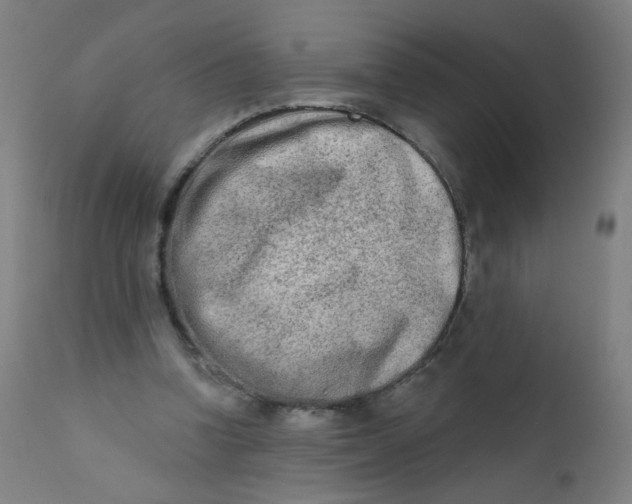 X0000112180346200909041235