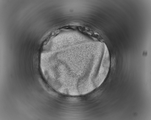 X0000112180349200909041235