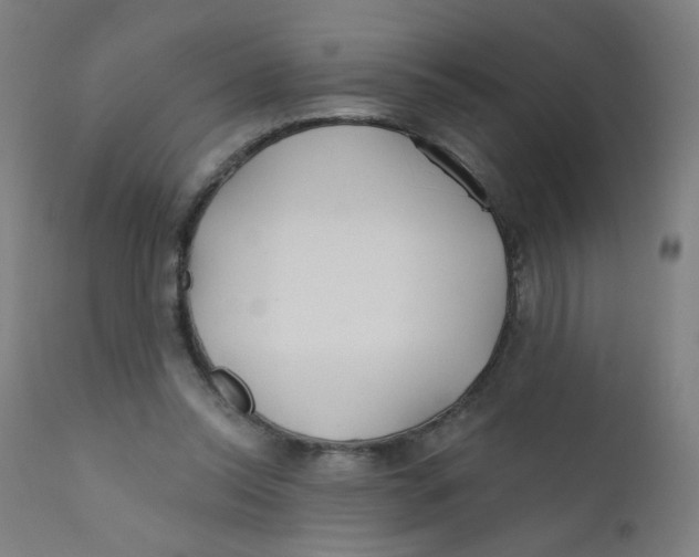 X0000112180350200909041235