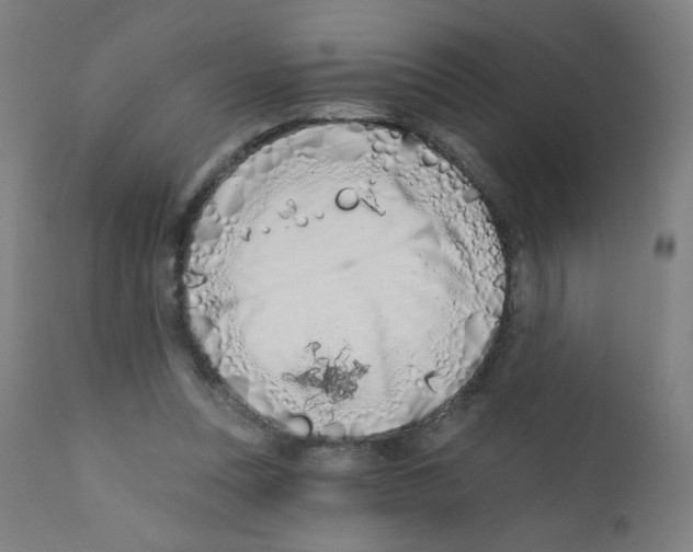 X0000112180351200909041235