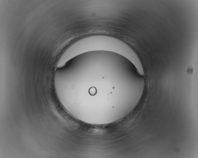 X0000112180352200909041235