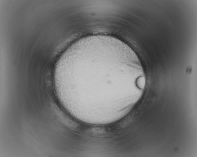 X0000112180353200909041235