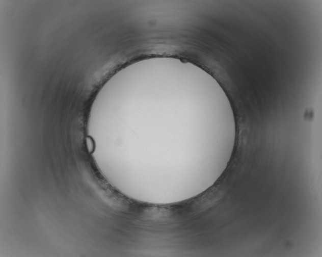 X0000112180354200909041235