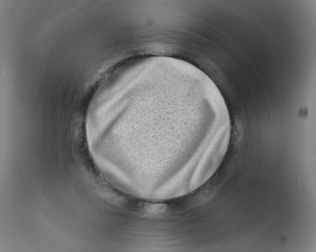 X0000112180355200909041235