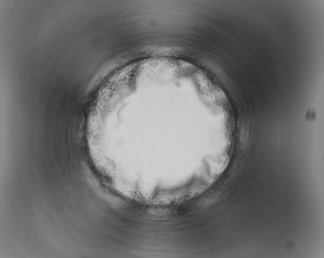 X0000112180357200909041235