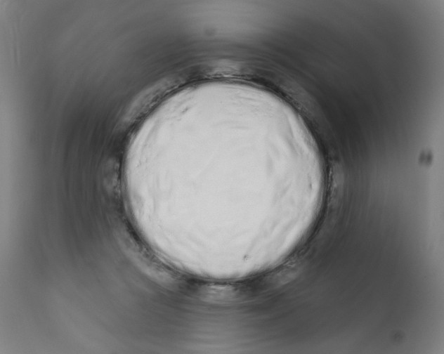 X0000112180361200909041235