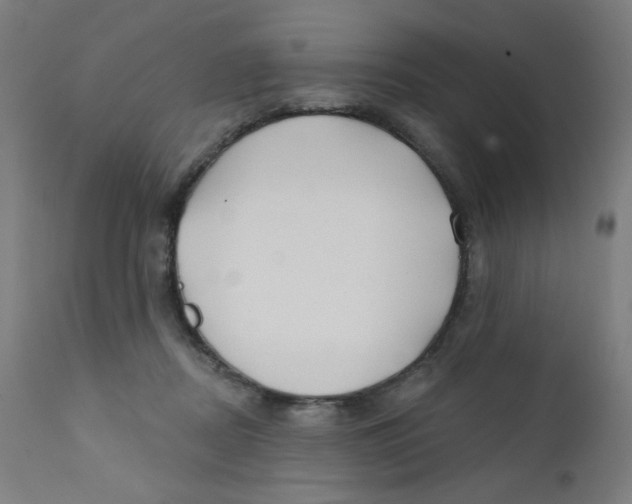 X0000112180362200909041235