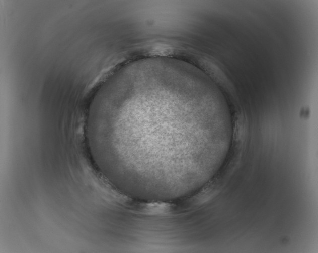 X0000112180363200909041235