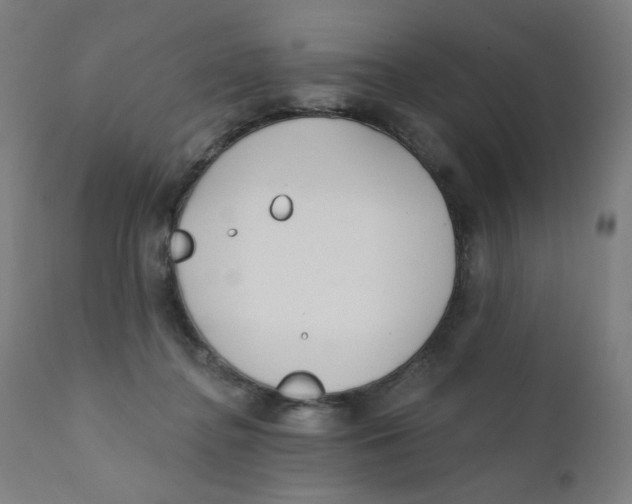 X0000112180364200909041235