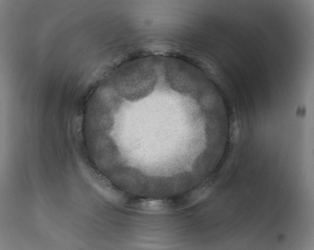 X0000112180365200909041235