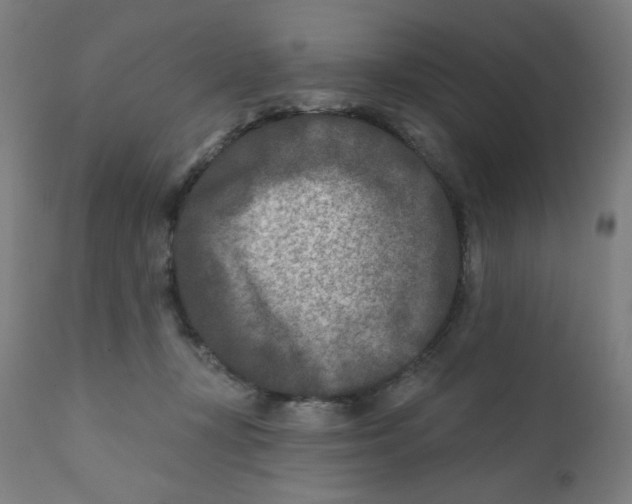 X0000112180367200909041235