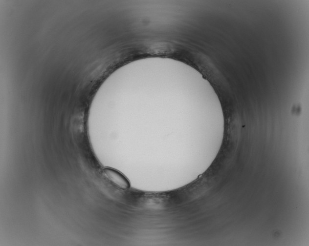 X0000112180368200909041235
