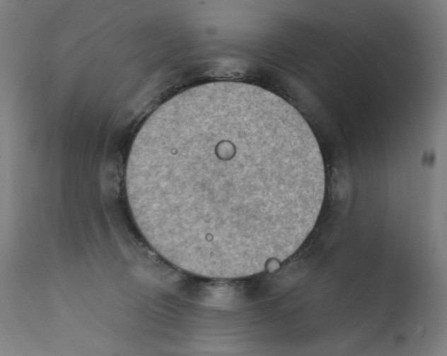 X0000112180370200909041236