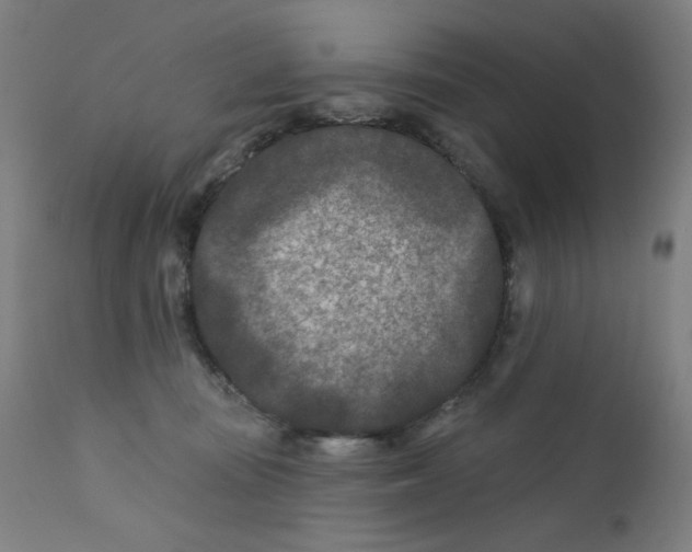 X0000112180371200909041236