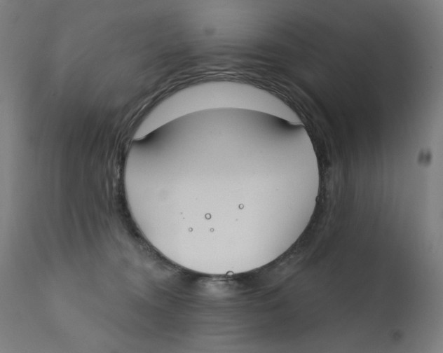 X0000112180372200909041236