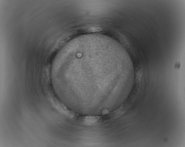 X0000112180373200909041236