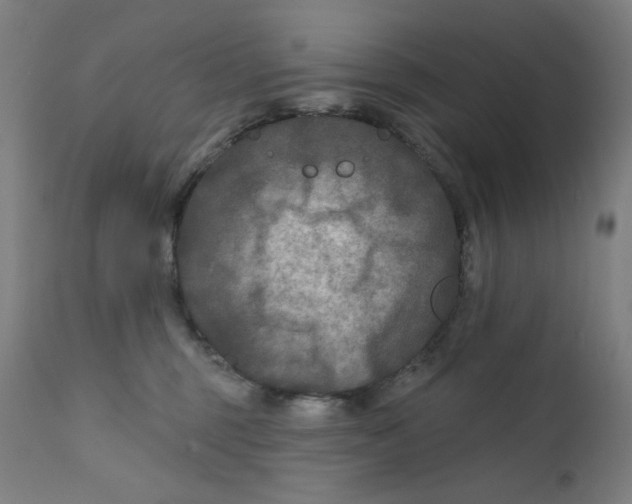 X0000112180375200909041236