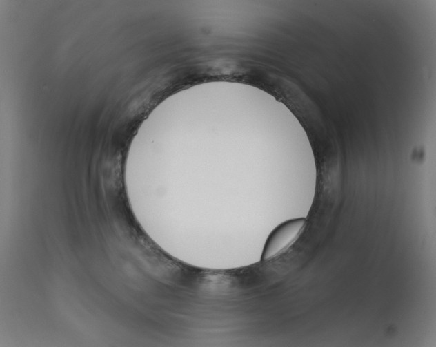 X0000112180376200909041236