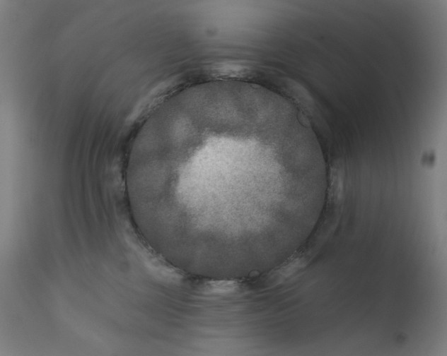 X0000112180377200909041236