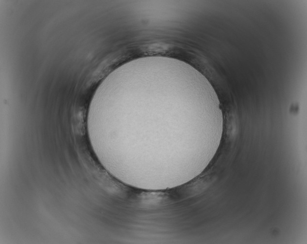 X0000112180378200909041236