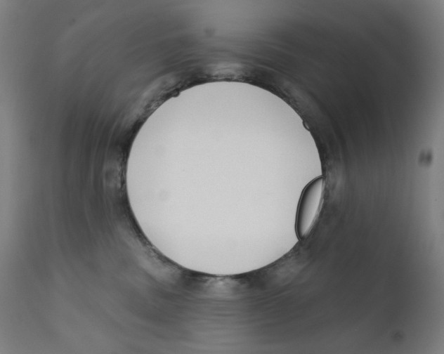 X0000112180379200909041236