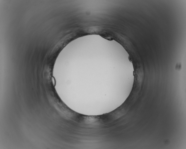 X0000112180380200909041236