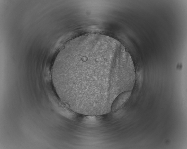 X0000112180381200909041236