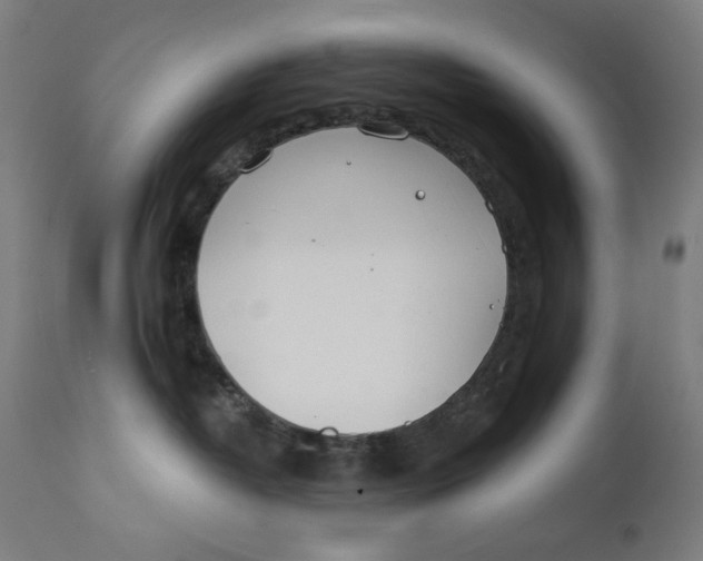 X0000112180382200909041236