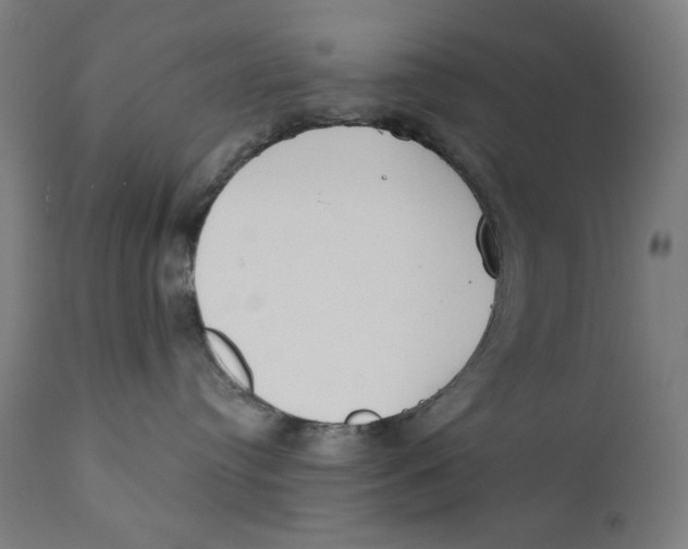 X0000112180384200909041236
