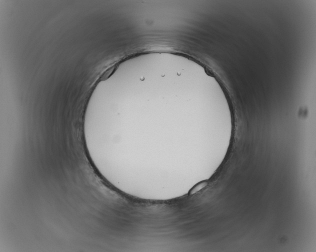 X0000112180385200909041235