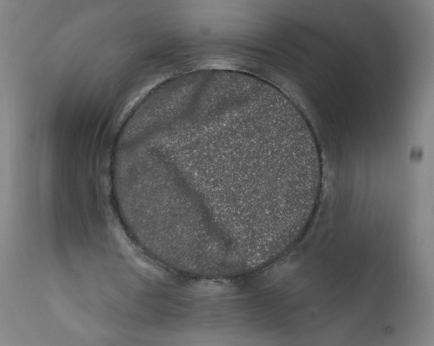 X0000112180386200909041235