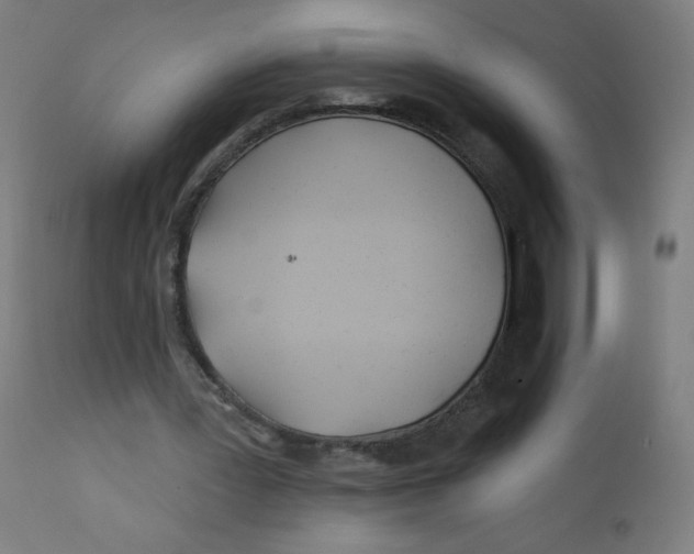 X0000112180387200909041235