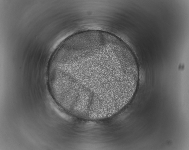 X0000112180390200909041235