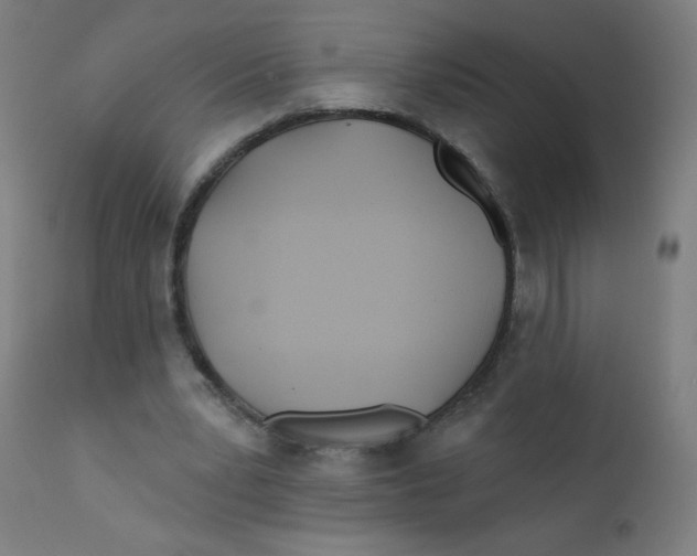 X0000112180391200909041235