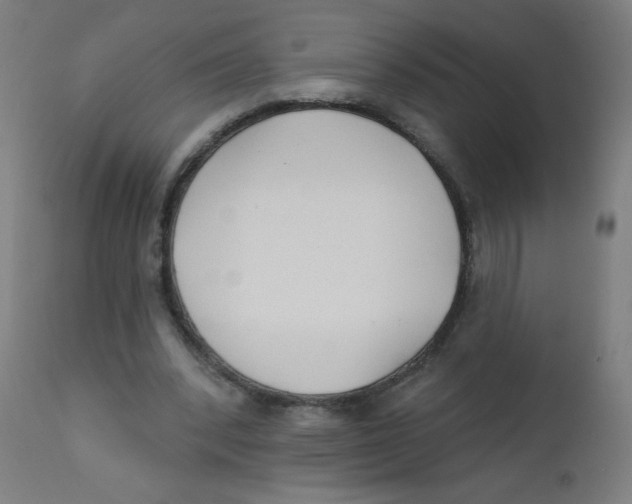 X0000112180392200909041235