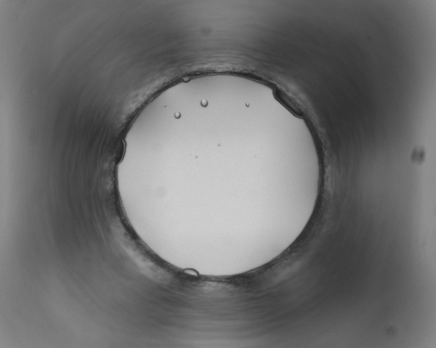 X0000112180393200909041235
