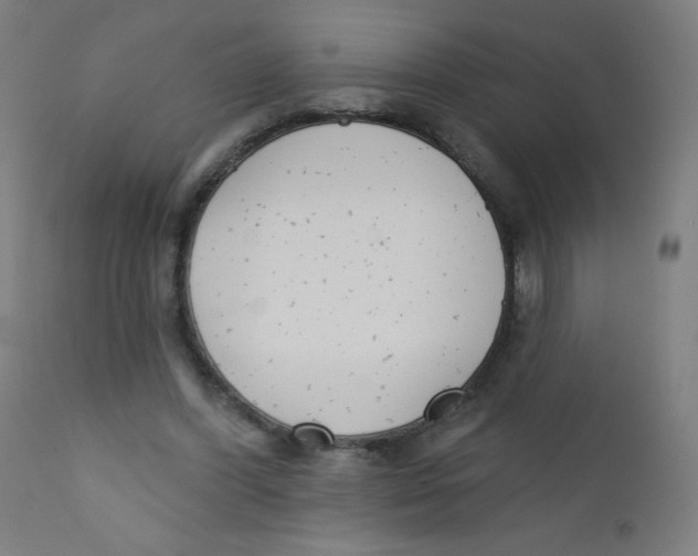 X0000112180396200909041235