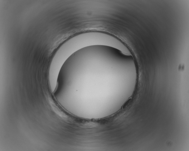 X0000112180397200909041235