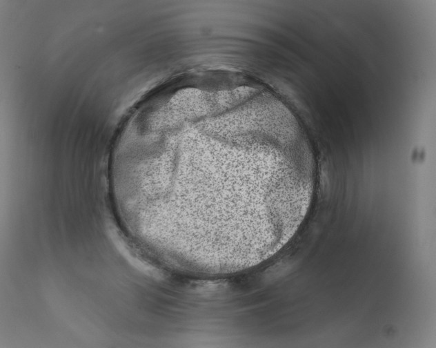 X0000112180398200909041235