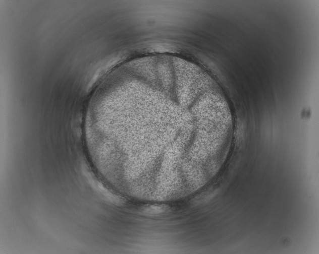 X0000112180402200909041235